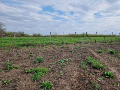 Eladó családi ház - Hevesvezekény / 16. kép