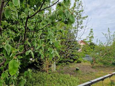 Eladó családi ház - Hevesvezekény / 24. kép