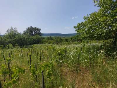 Eladó zártkert - Héreg (Bikaréti dűlő) / 12. kép