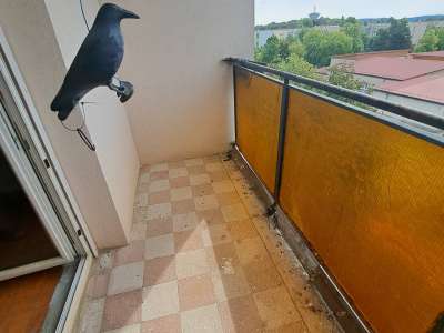 Kiadó téglalakás - Oroszlány (Oroszlány) / 4. kép