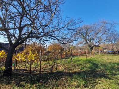 Eladó családi ház - Kesztölc / 14. kép