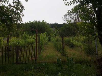 Eladó zártkert - Héreg (Bikaréti Dűlő) / 6. kép