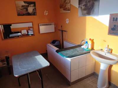 Eladó családi ház - Oroszlány (Borbála) / 20. kép