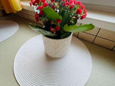 Eladó panellakás - Komárom (Komárom) / 6. kép