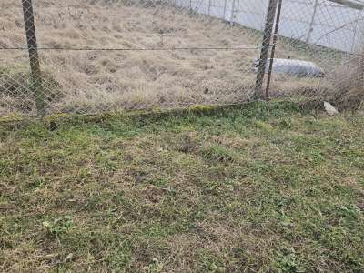 Eladó építési telek - Oroszlány (Borbála) / 4. kép