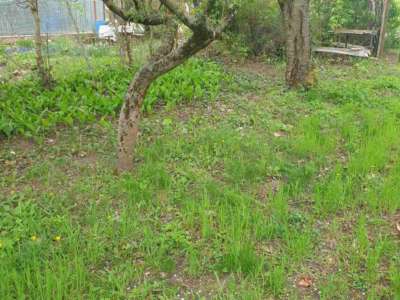 Eladó zártkert - Tatabánya (Kertváros) / 2. kép