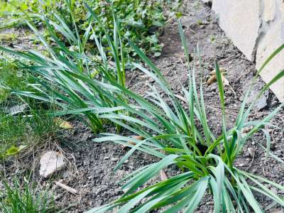 Eladó családi ház - Komárom (Komárom) / 80. kép