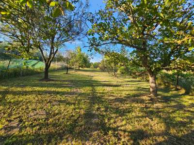 Eladó családi ház - Úny / 10. kép