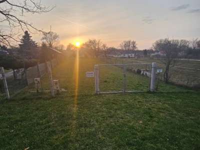 Eladó építési telek - Oroszlány (külterület) / 11. kép