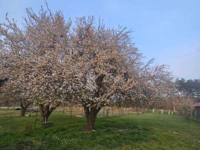 Eladó építési telek - Oroszlány (külterület) / 8. kép