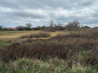 Eladó építési telek - Tata (Levendulakert) / 1. kép