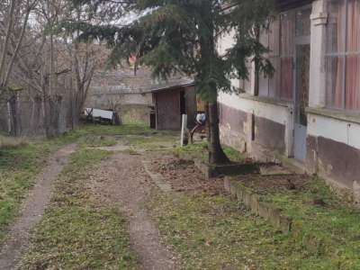 Eladó családi ház - Oroszlány (Oroszlány) / 9. kép