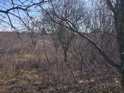 Eladó zártkert - Tárnok / 13. kép