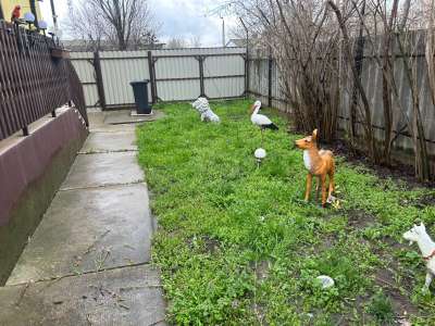 Eladó családi ház - Kunszentmárton / 5. kép