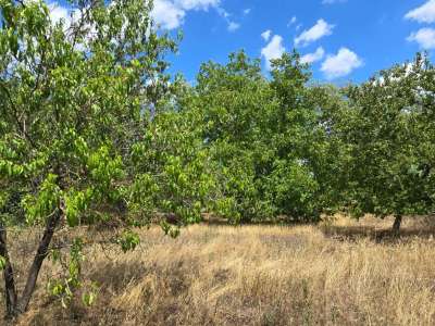 Eladó építési telek - Cserkeszőlő / 9. kép