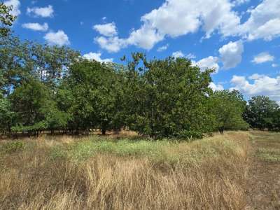 Eladó építési telek - Cserkeszőlő / 11. kép
