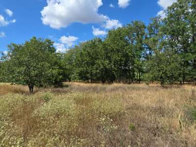 Eladó építési telek - Cserkeszőlő / 12. kép