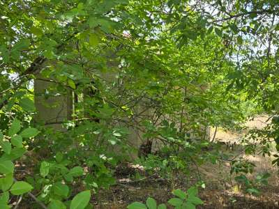 Eladó építési telek - Cserkeszőlő / 14. kép