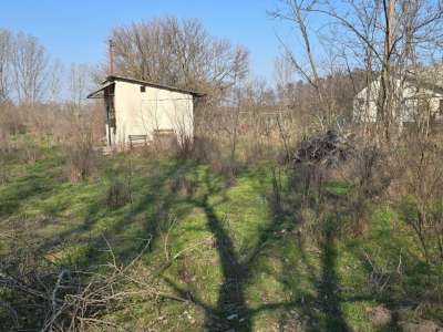 Eladó kert, gyümölcsös - Cserkeszőlő / 8. kép