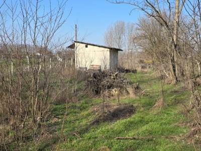 Eladó kert, gyümölcsös - Cserkeszőlő / 7. kép