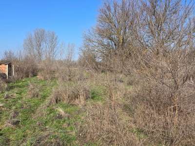 Eladó kert, gyümölcsös - Cserkeszőlő / 5. kép