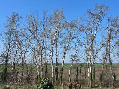 Eladó családi ház - Szelevény / 24. kép