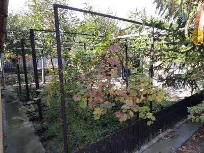 Eladó családi ház - Szelevény / 19. kép