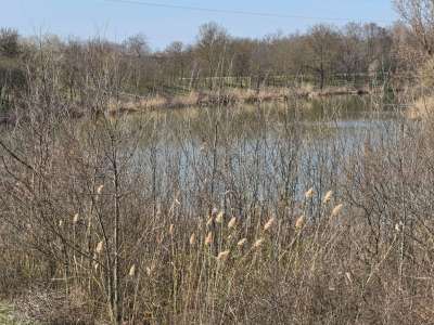 Eladó szántó - Öcsöd / 12. kép