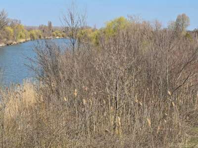 Eladó szántó - Öcsöd / 11. kép