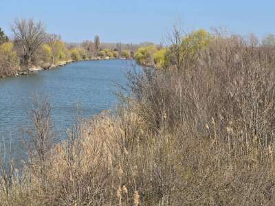 Eladó szántó - Öcsöd / 8. kép