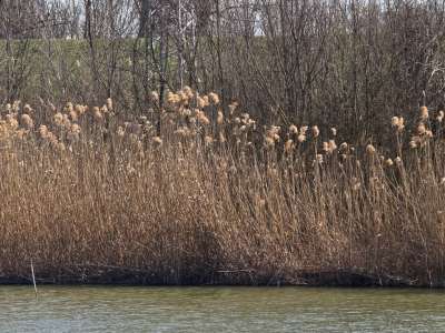 Eladó szántó - Öcsöd / 21. kép