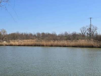 Eladó szántó - Öcsöd / 5. kép