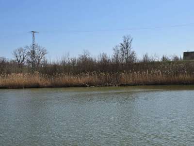 Eladó szántó - Öcsöd / 6. kép