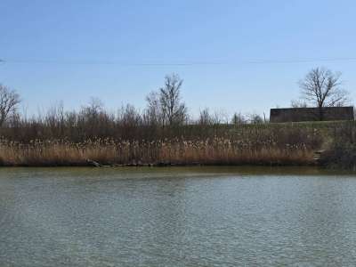 Eladó szántó - Öcsöd / 7. kép