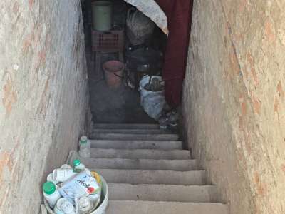 Eladó kert, gyümölcsös - Szelevény (halesz) / 21. kép