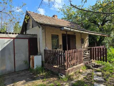 Eladó kert, gyümölcsös - Szelevény (halesz) / 2. kép