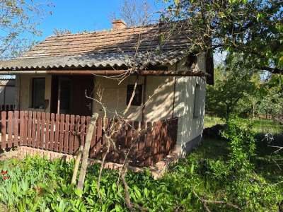 Eladó kert, gyümölcsös - Szelevény (halesz) / 10. kép