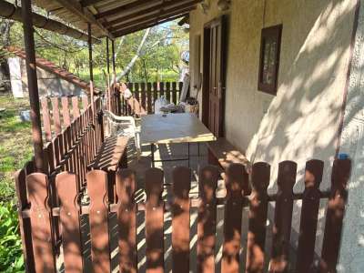 Eladó kert, gyümölcsös - Szelevény (halesz) / 11. kép