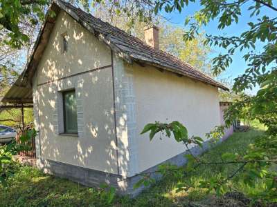 Eladó kert, gyümölcsös - Szelevény (halesz) / 12. kép