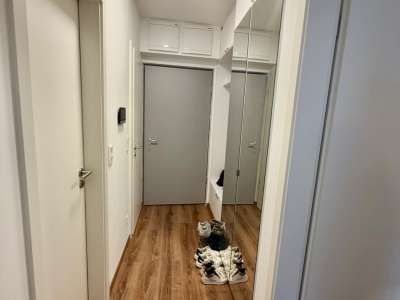 Kiadó téglalakás - Budapest VII. kerület (Belső-erzsébetváros) / 7. kép