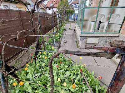 Eladó családi ház - Budapest XVI. kerület / 16. kép