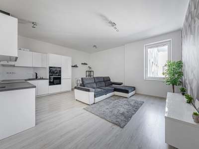 Kiadó téglalakás - Biatorbágy (Tópark) / 12. kép