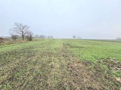 Eladó tanya - Szarvas / 21. kép