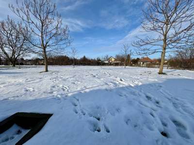 Eladó családi ház - Gyomaendrőd / 24. kép