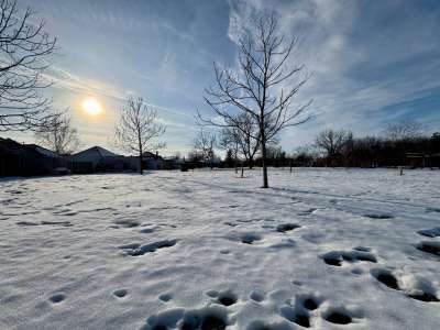 Eladó családi ház - Gyomaendrőd / 26. kép