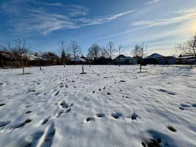 Eladó családi ház - Gyomaendrőd / 27. kép