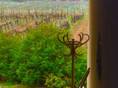 Eladó birtok - Balatonfüred / 7. kép