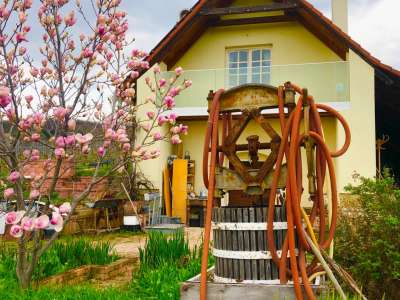 Eladó birtok - Balatonfüred / 9. kép