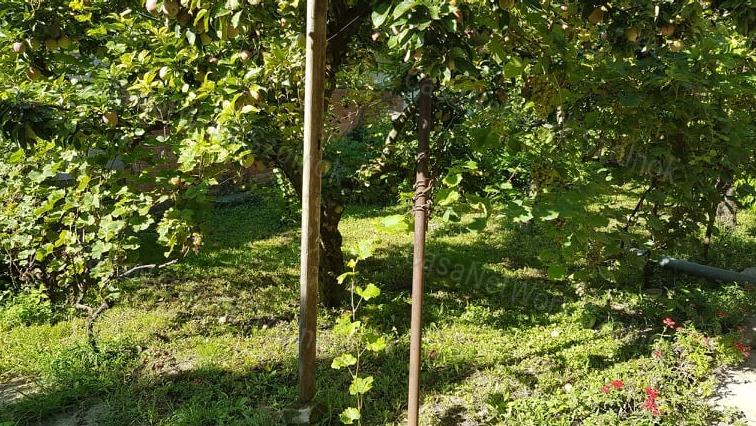Eladó kertes családi ház Tiszaföldvár központjában!