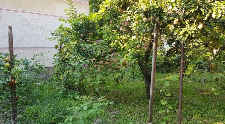 Eladó kertes családi ház Tiszaföldvár központjában!